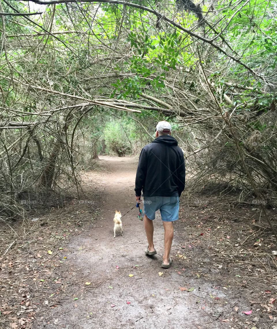 Tropical Walking Path