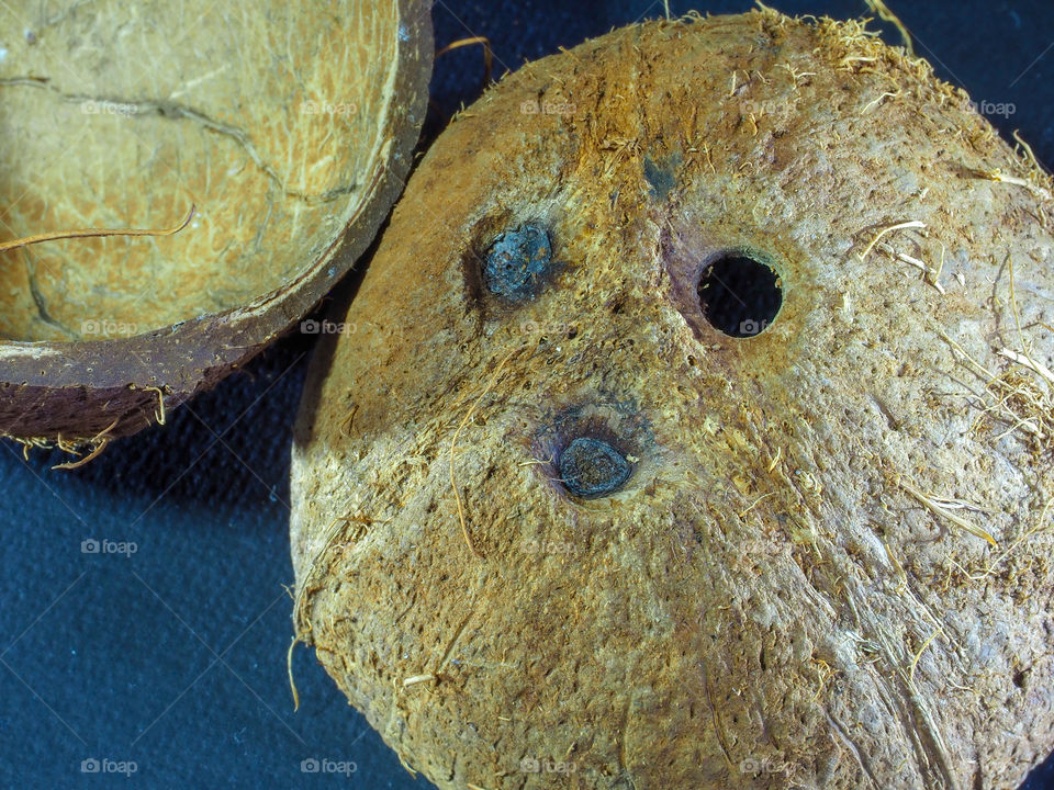 The shell of the chopped coconut dried and having an interesting structure lies on a dark background