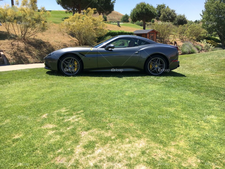 Grass, Lawn, Car, Landscape, Vehicle