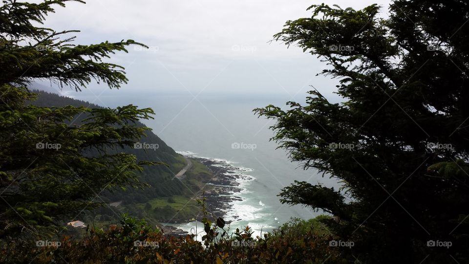 Cape Perpetua Lookout