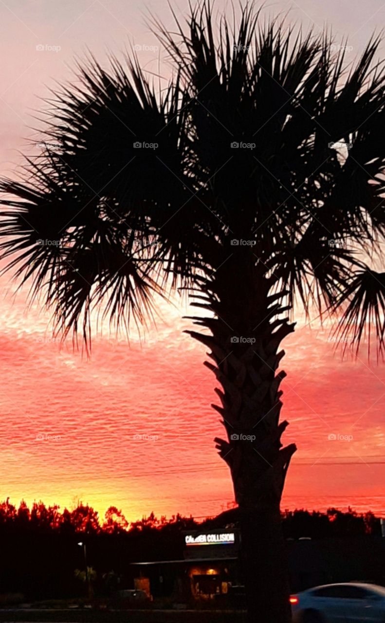 this is the sunset tonite. at work looking out window.