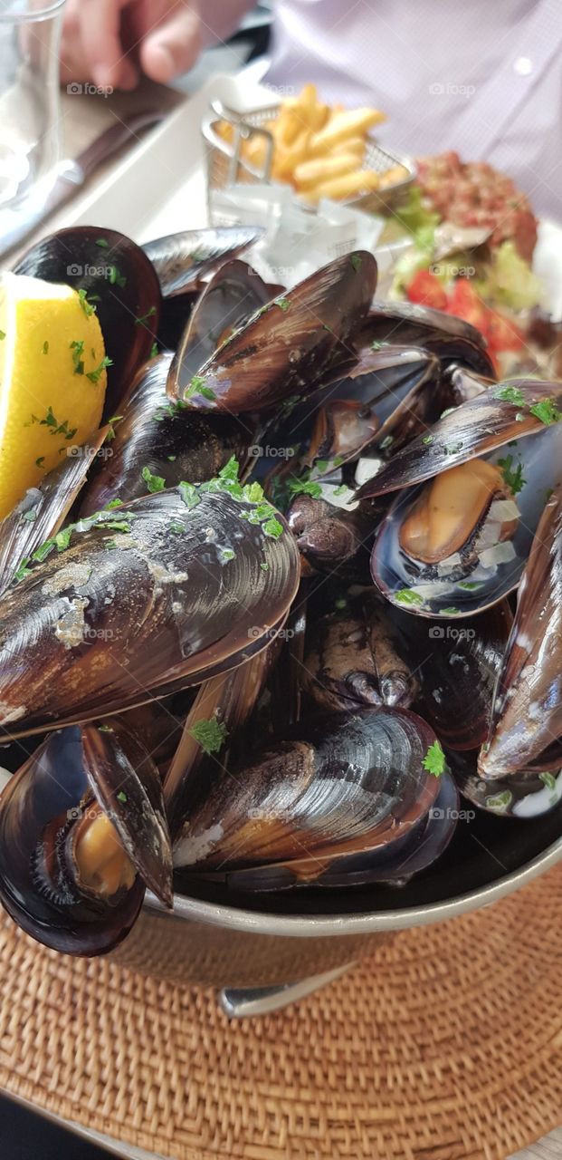 mussels