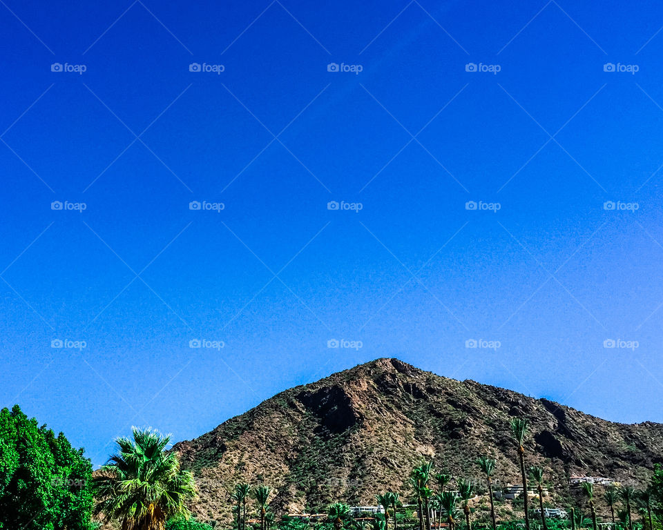 My view while working today.