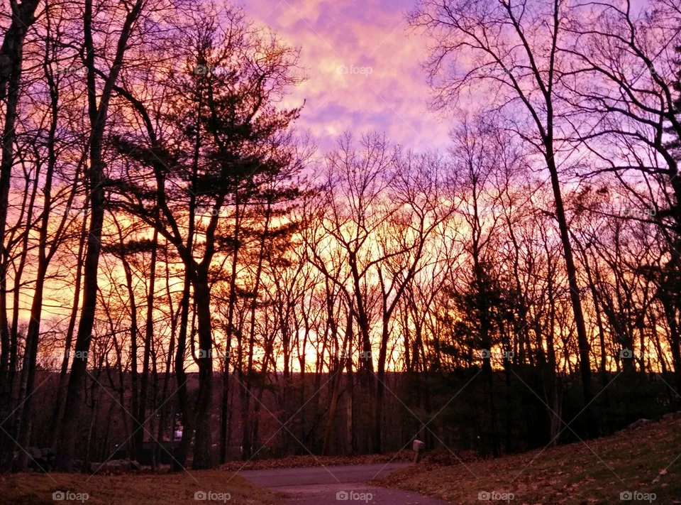 sunset