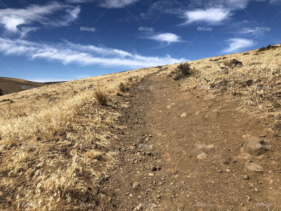 Dirt path under a blue sky