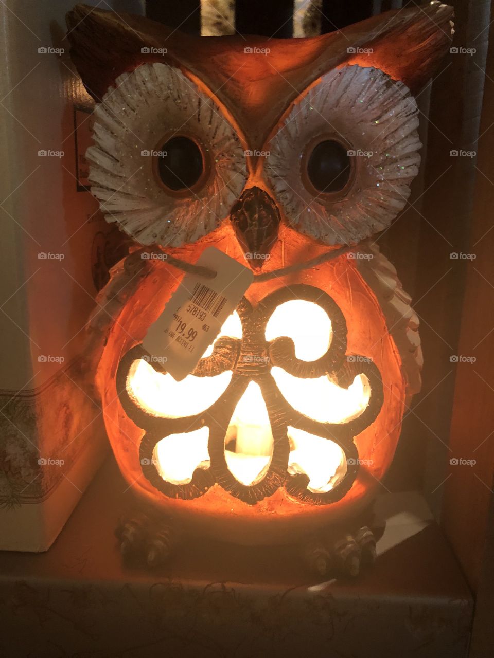 Owl