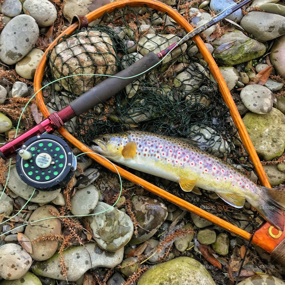 Trout fishing