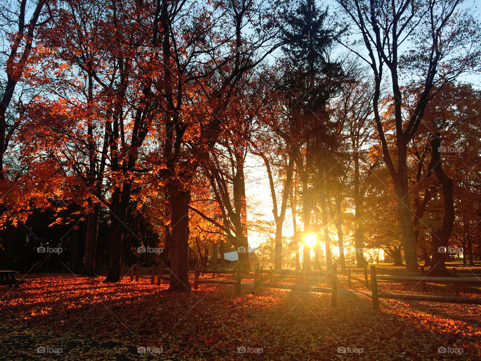 Autumn Sunset