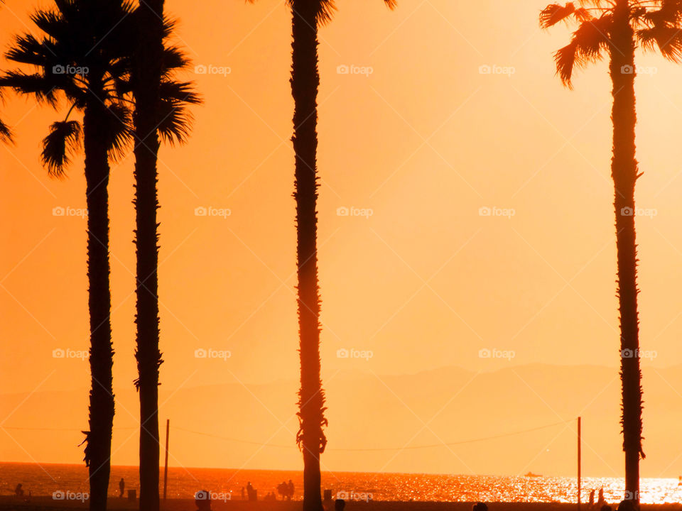 beach sunset orange sun by Attila