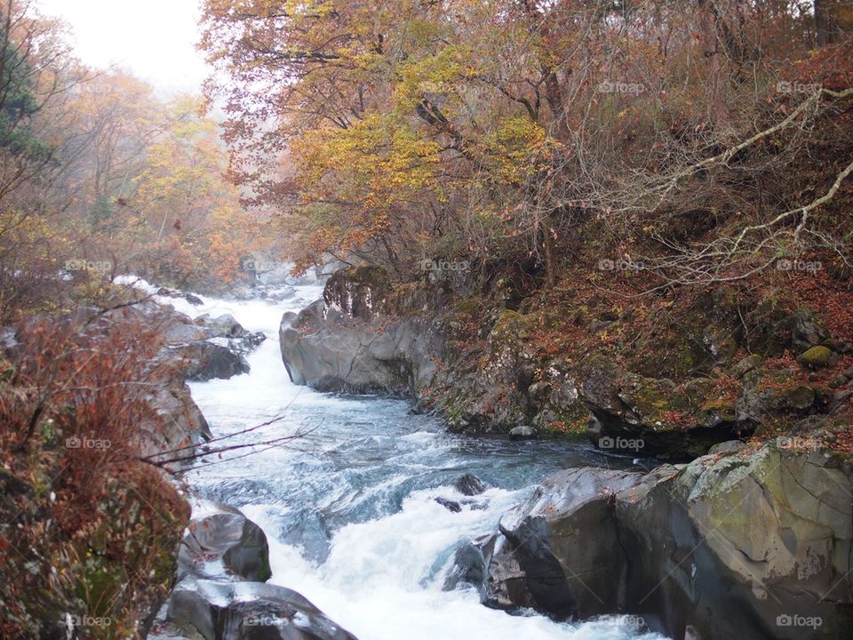 Nikko Daiwa River