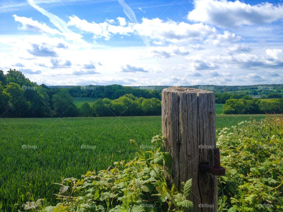 Grassy field against cloudy sky