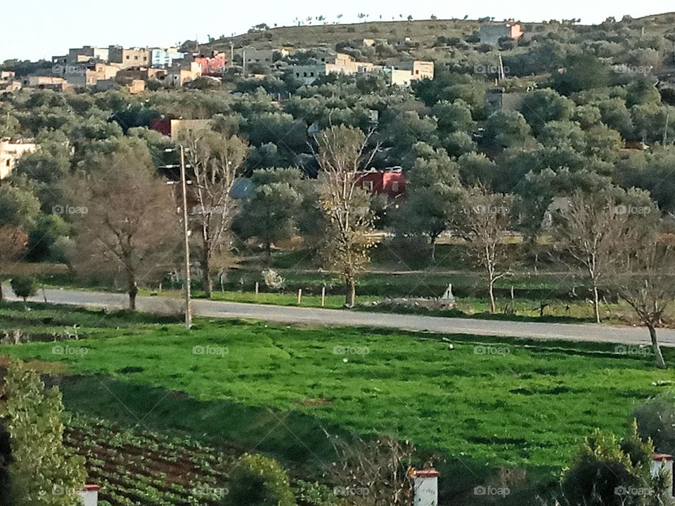 Population between the nature