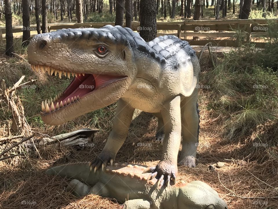 Dino parque Lourinhã 