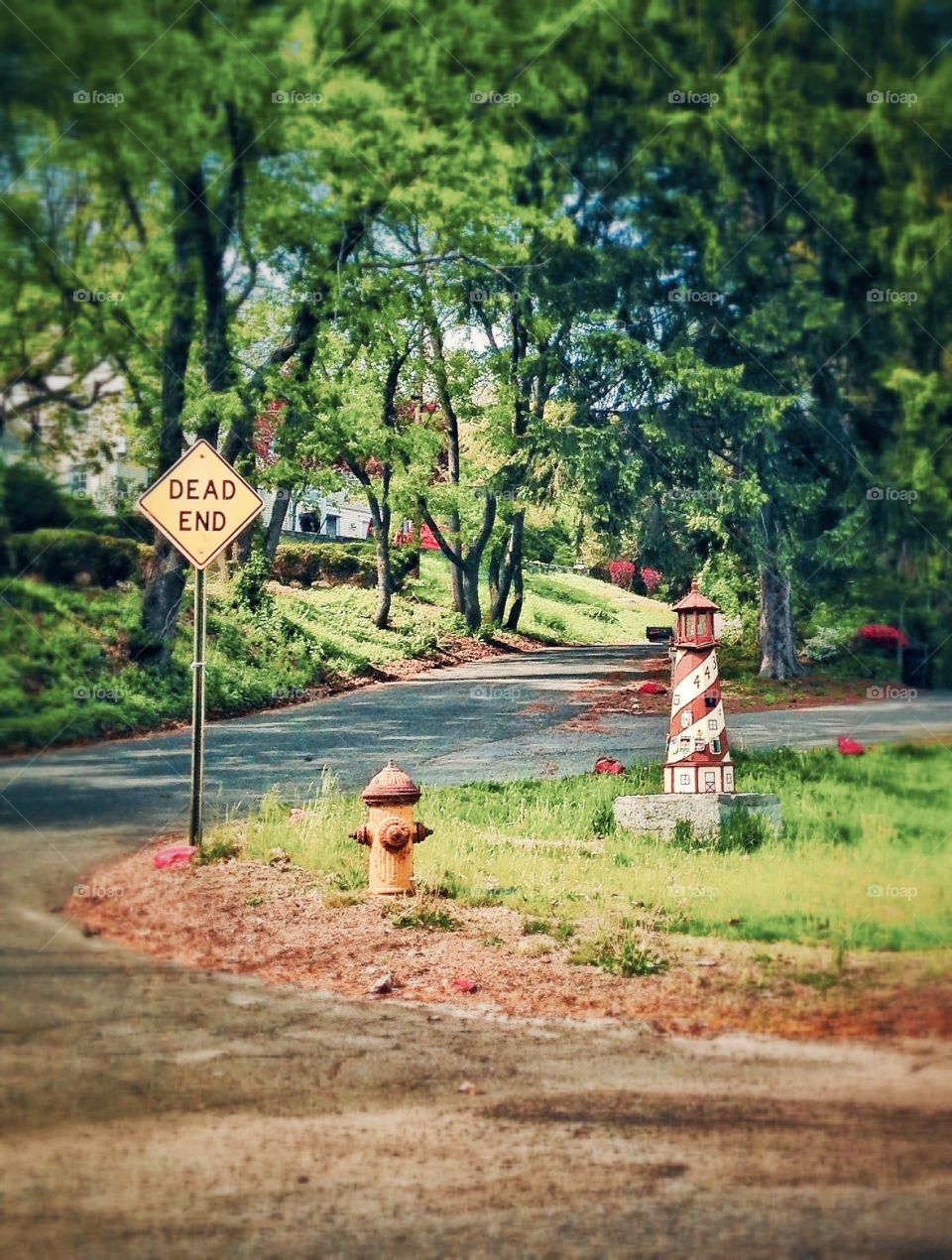 sign & hydrant . Threesome on the corner 