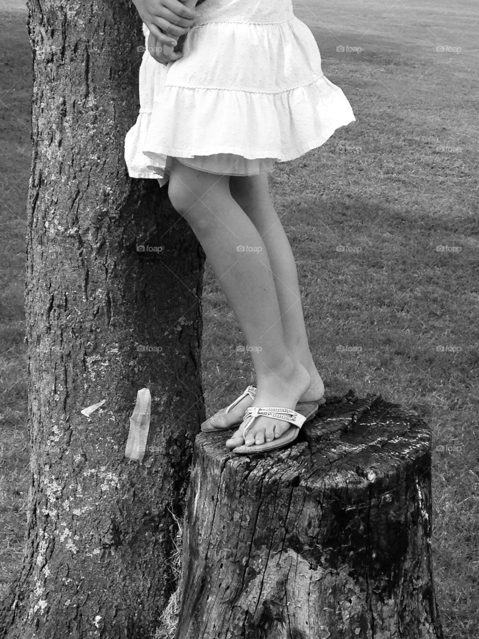 Stumped . Girl standing on a stump