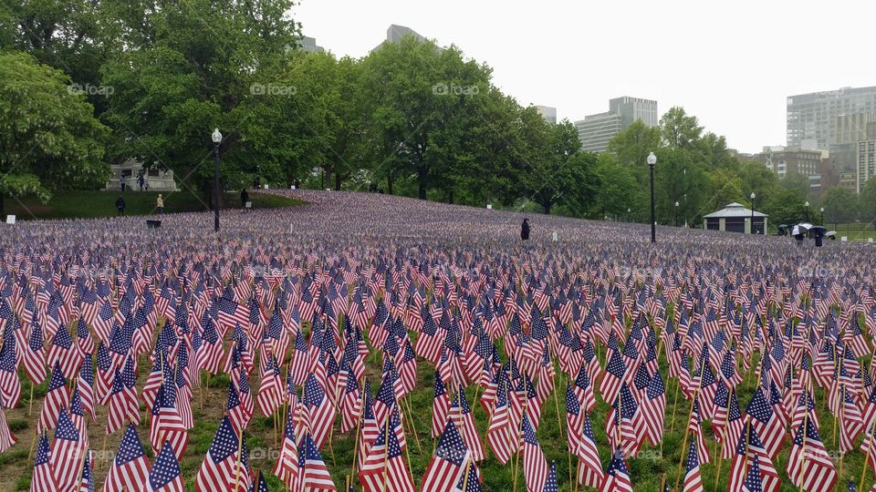 37,000 Flags - Boston Common - Each flag represents a Massachusetts fallen soldier from the Revolutionary War to the present. 🇺🇸