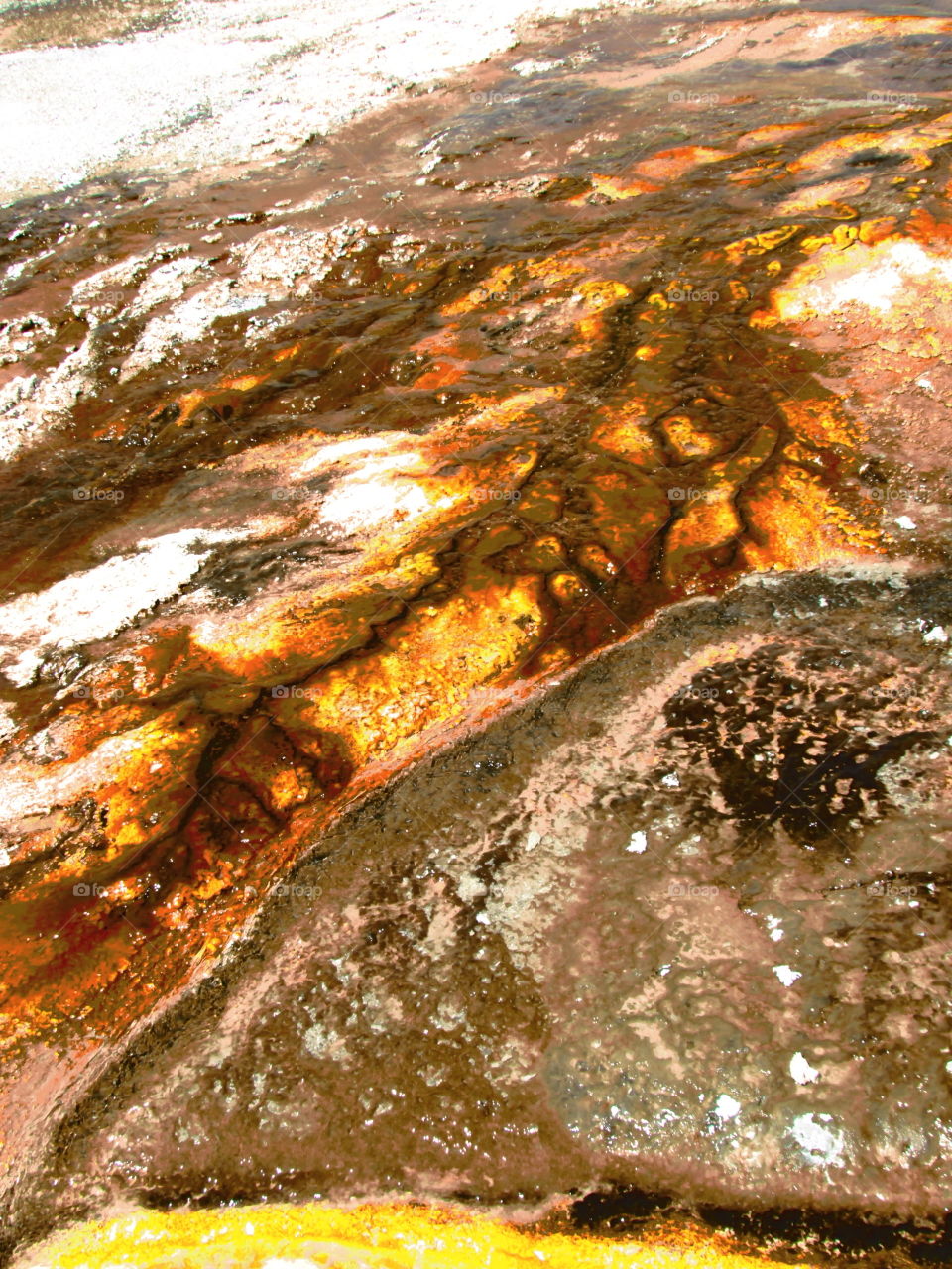 Close-up of a yellow stone