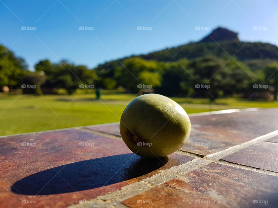 marula fruit with a mountain background