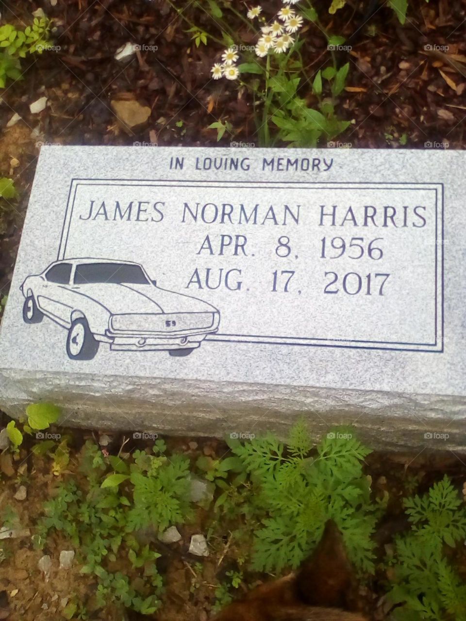 Name and Dated Grave Stone