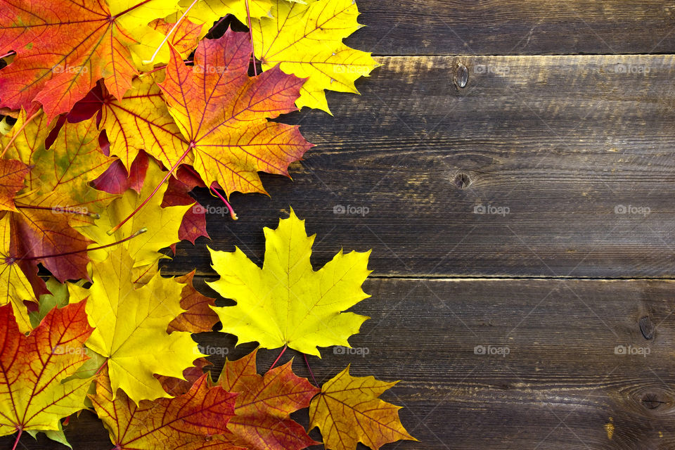 Autumn leaves on wooden table