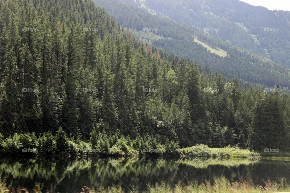 scenery