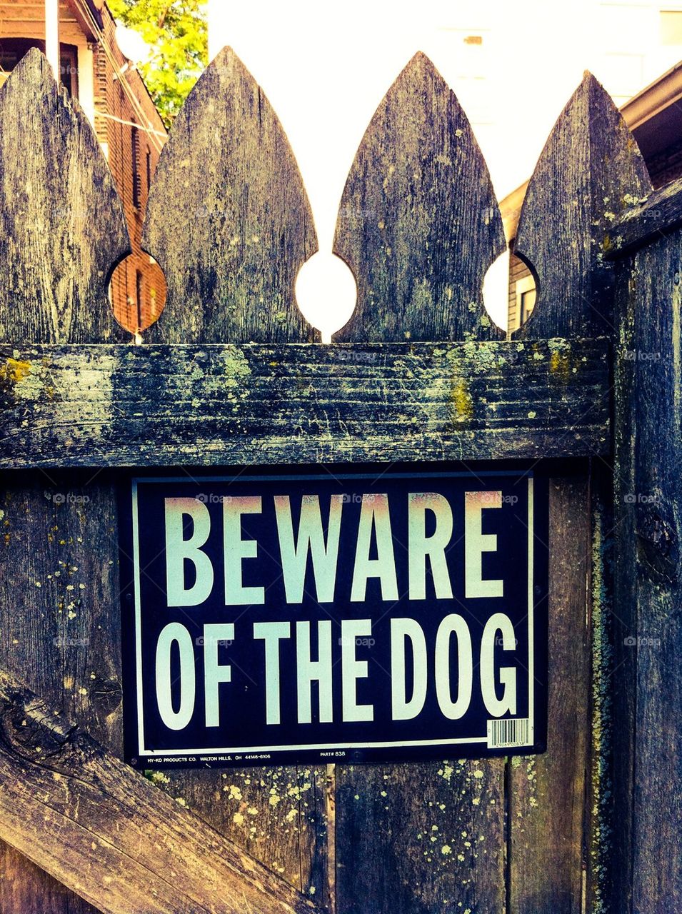 Beware of dog