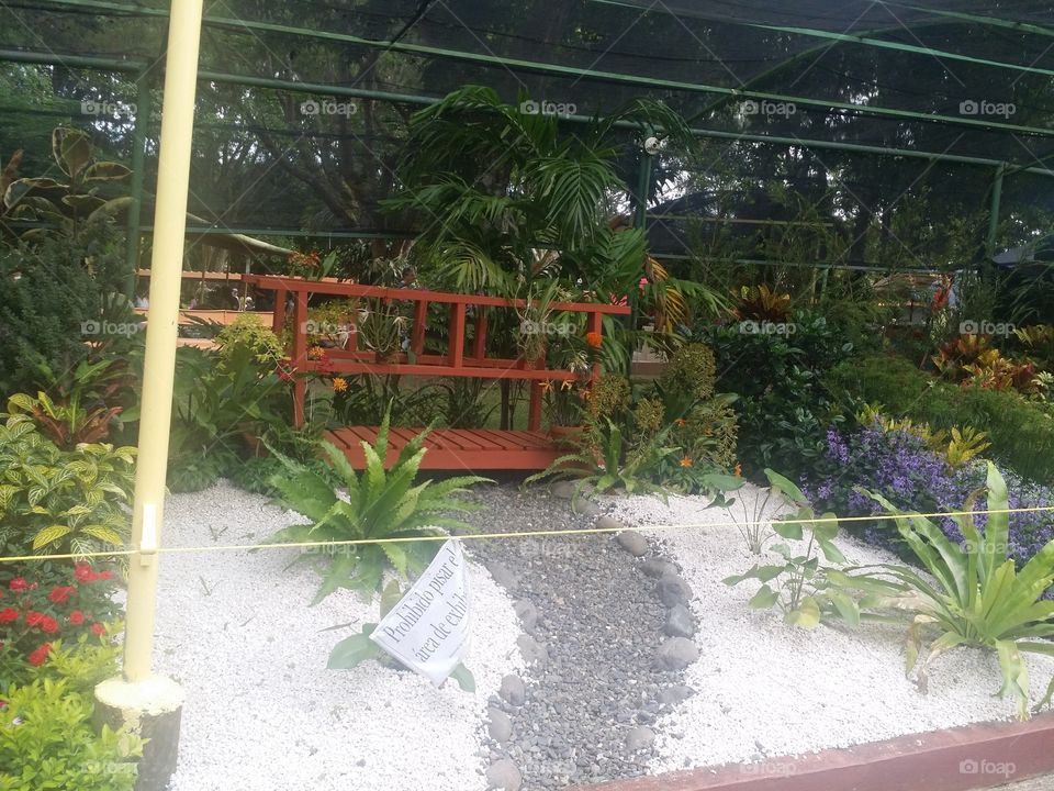Garden, Flower, Greenhouse, Flora, Conservatory