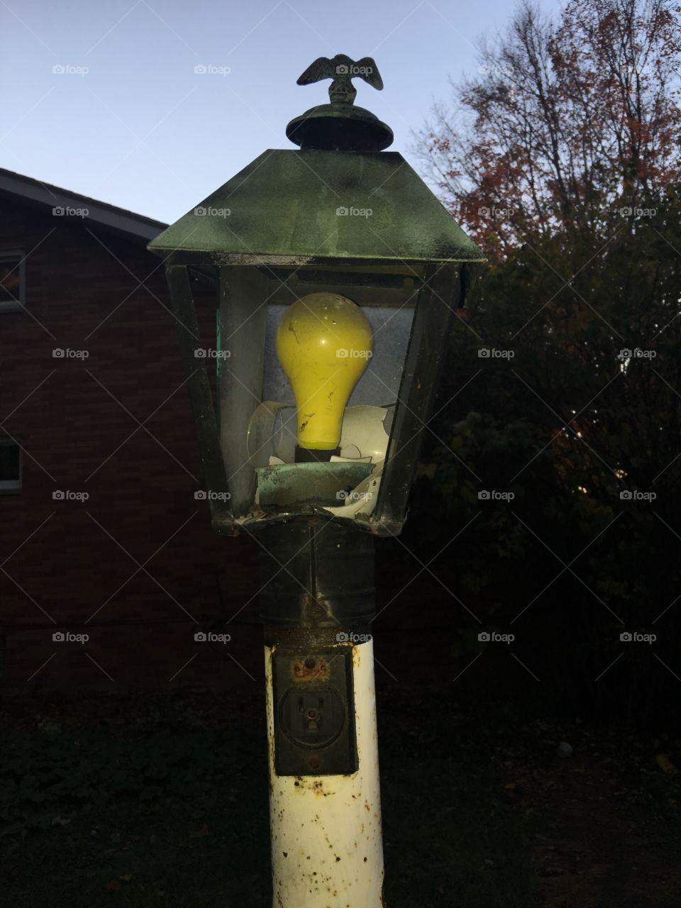 Yellow lamppost 