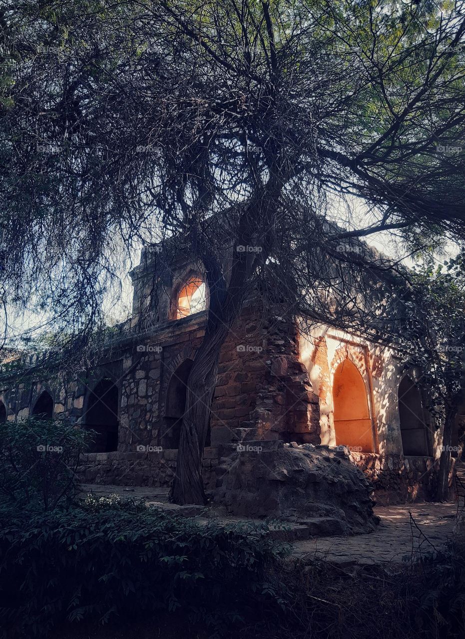 Historical Aesthetics