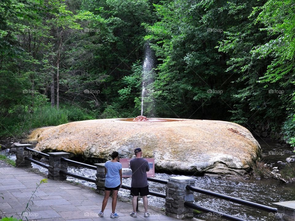 Geyser Creek Spring. Saratoga Spa State Park with a natural mineral spring on Geyser Creek. 
Zazzle.com/Fleetphoto 