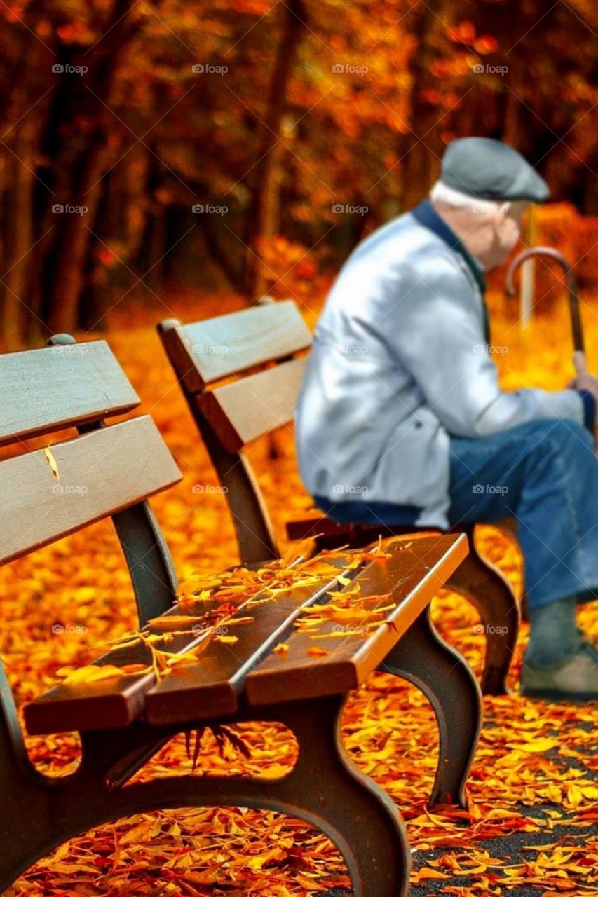 old man sitting on the park bench.