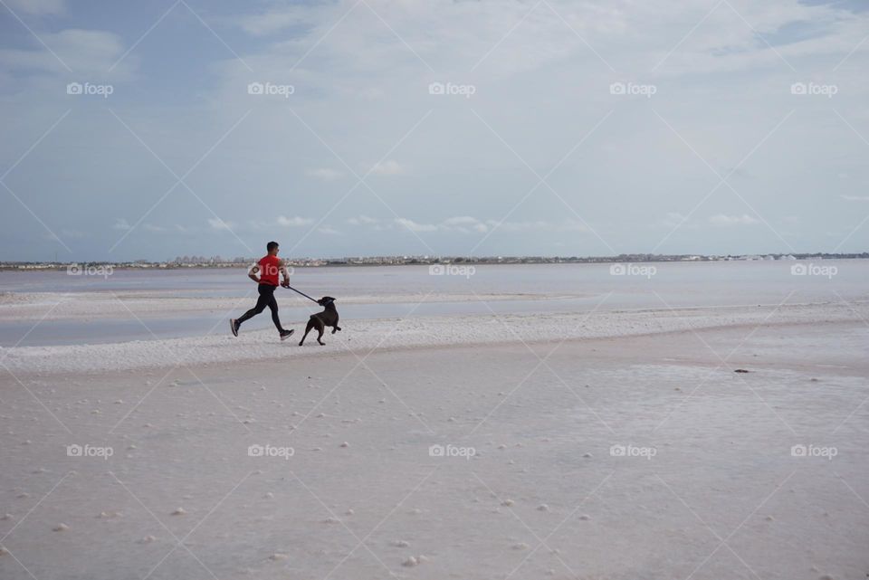 Sunrise#beach#ocean#human#dog