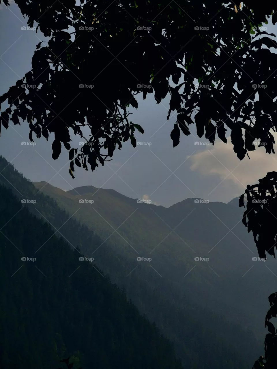 Mountain scape