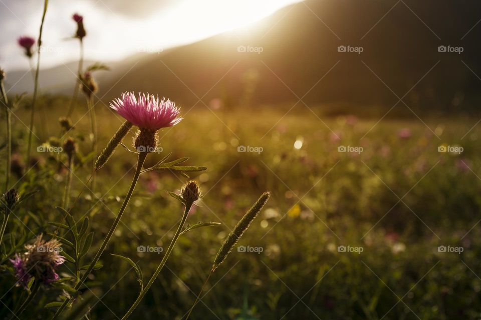 Sunset against mountain landscape