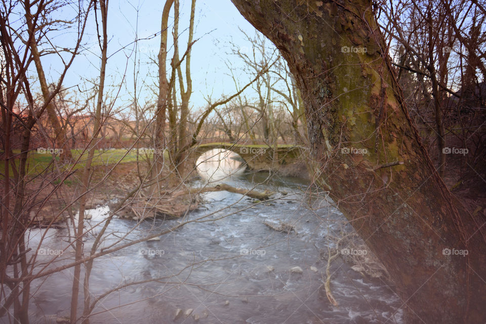 wooded stream. moss covered bridge over stream