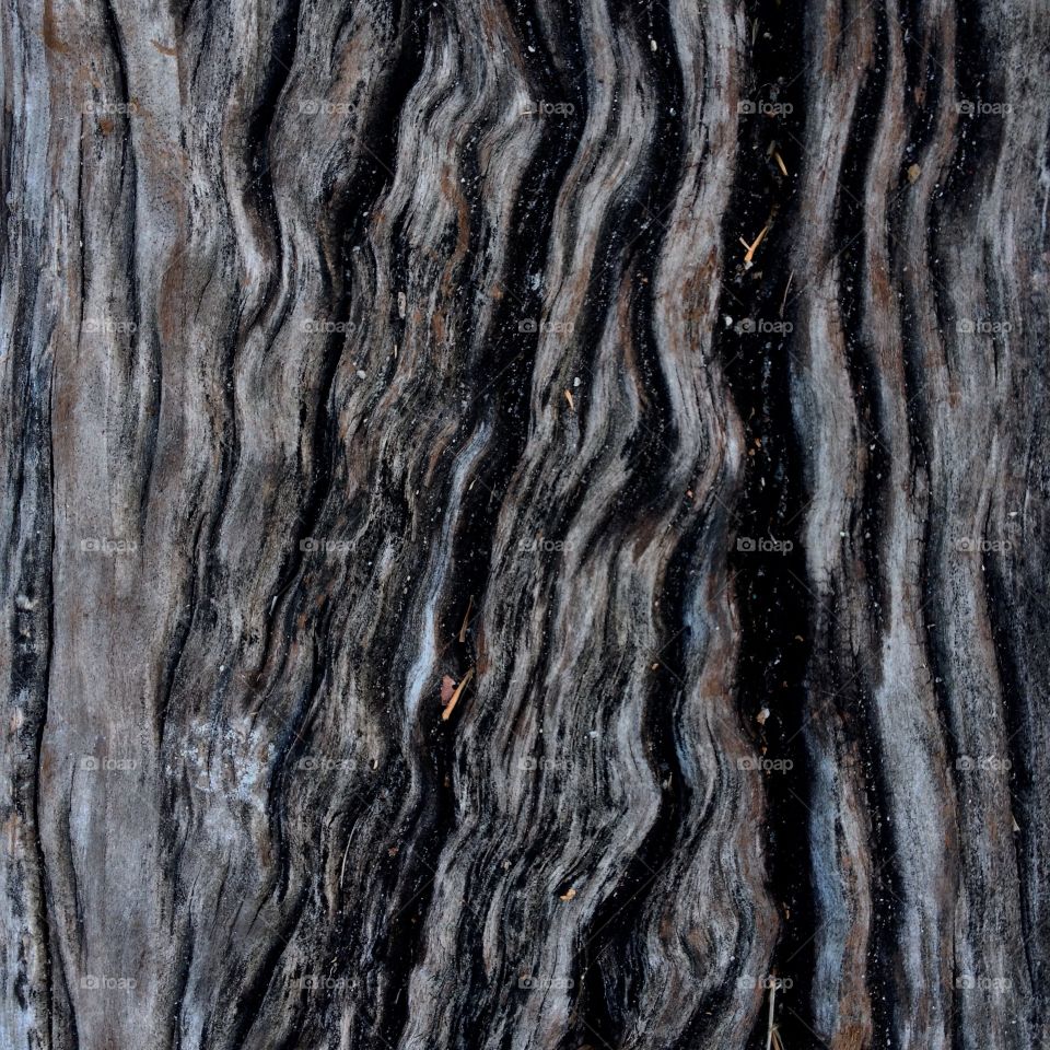 Wood beam texture