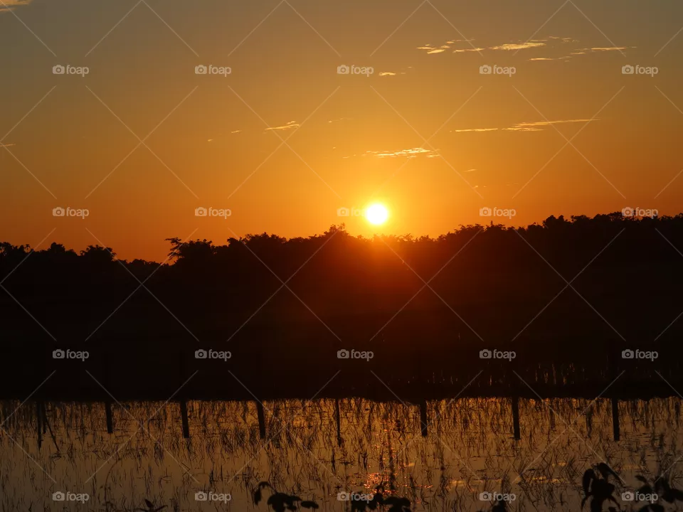 sunrise image. beautiful sunrise images.morning image.