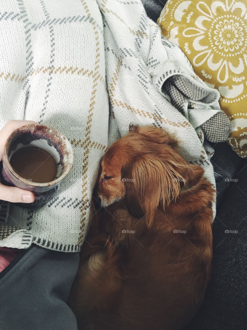 Cozy day with dog and coffee