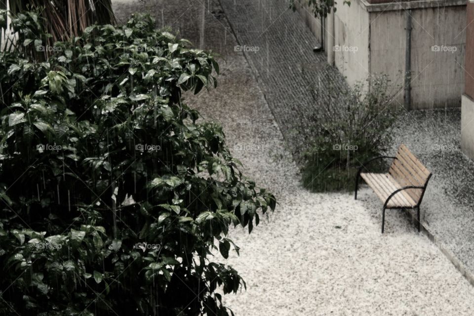 The Hailstorm in Rome