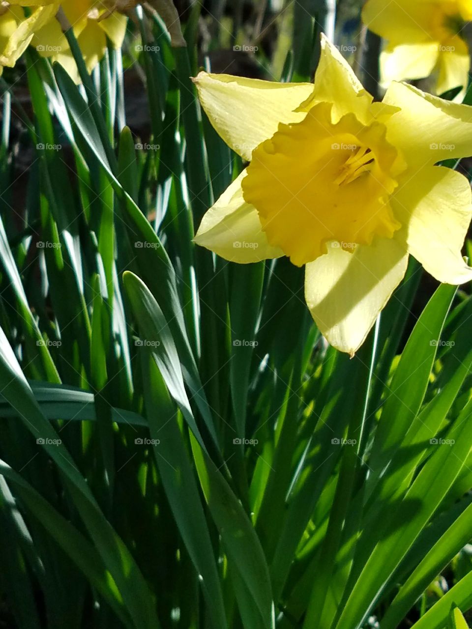Spring in Park City