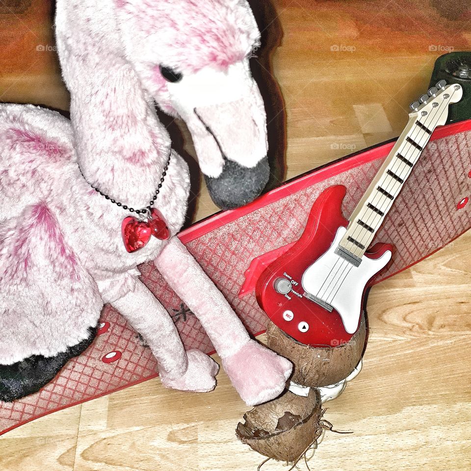 flamingo playing Guitar