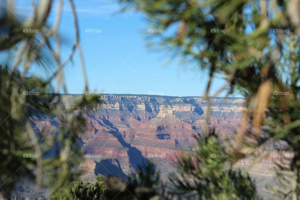 Grand Canyon. South rim
