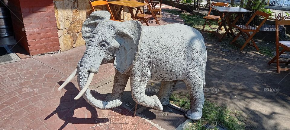 Elefante Cinza