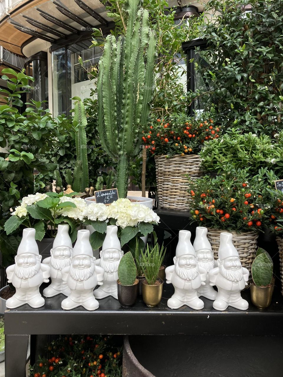 Garden gnomes in city