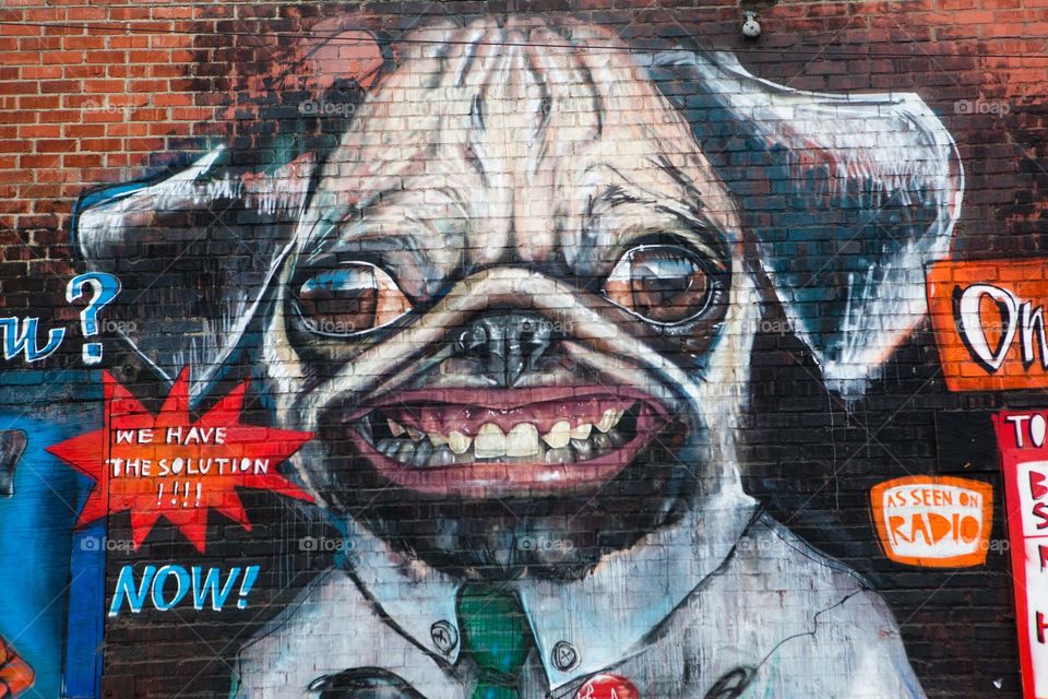 Graffiti puppy