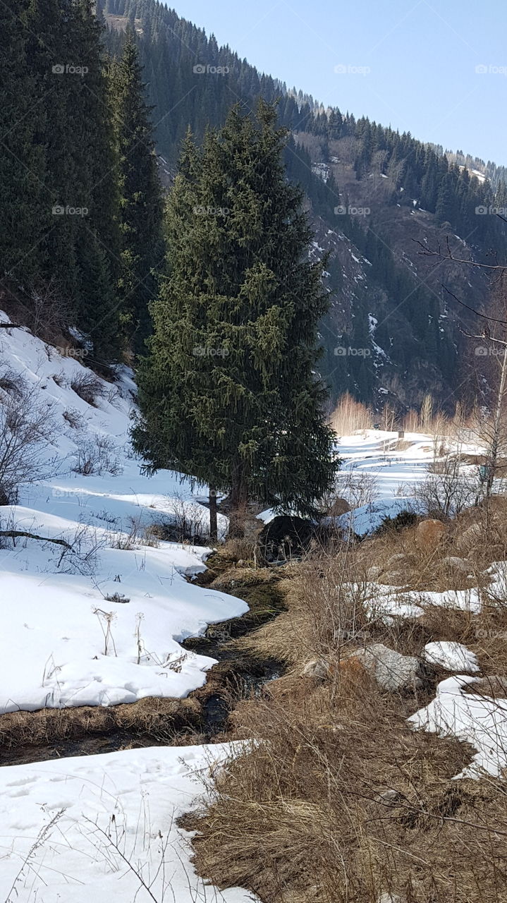 mountain river beginning