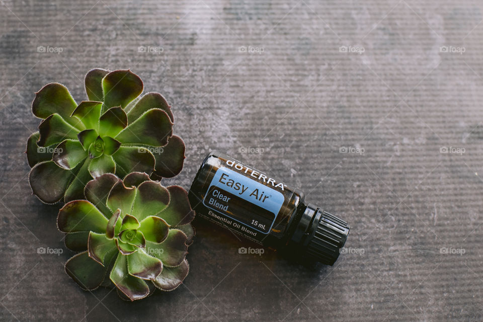 Easy air doterra essential oil bottle with succulent plants 