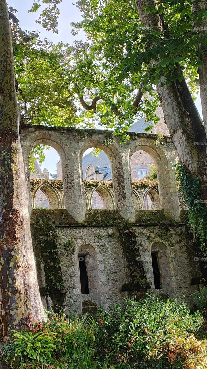 View of the side of Beauport Abbey in Paimpol where vegetation and trees have taken up residence