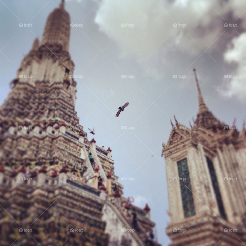 Hawk over Buddist Temple