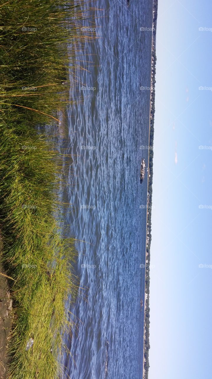 No Person, Water, Nature, Wood, Reflection